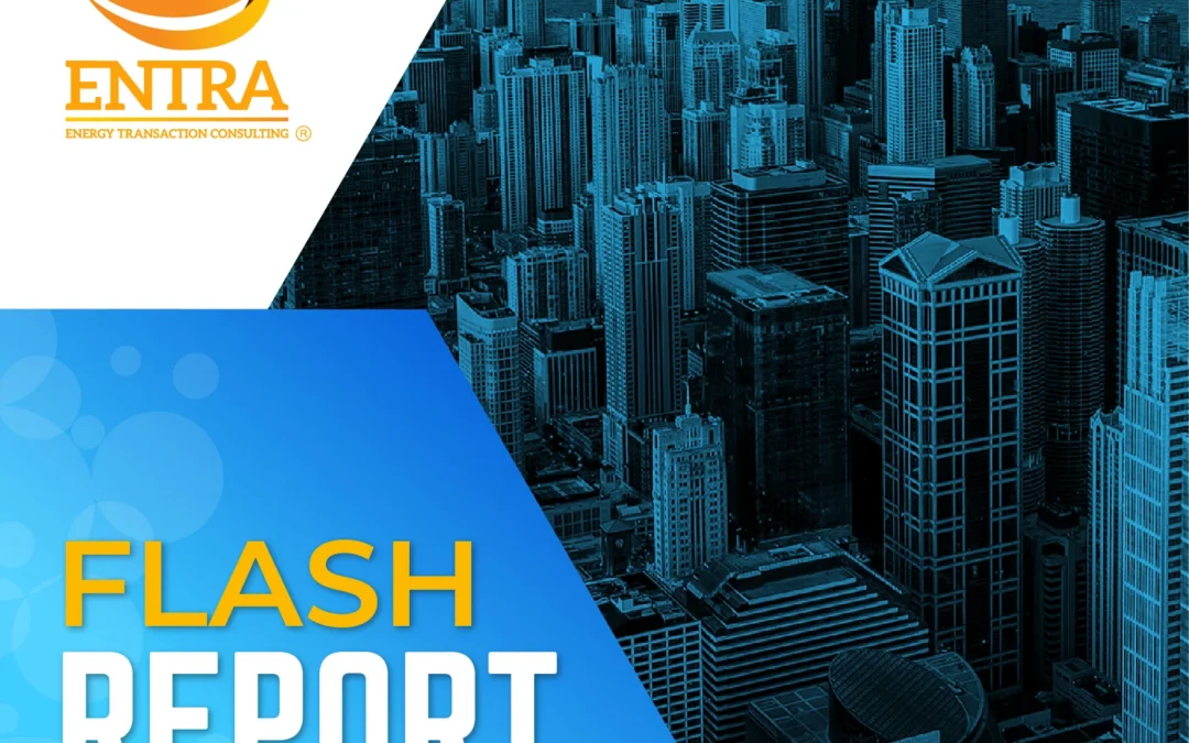 FLASH REPORT